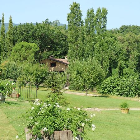 Agriturismo La Sovana Sarteano Exterior foto